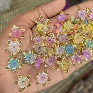 Colourful 5 Petal Flower(10g)