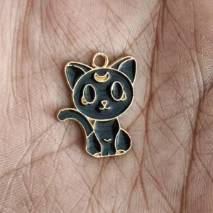 Black Cat(1 Charm)