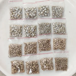 Z-Pearl Kundan Combo
(16 Packets-Each 10 gm)