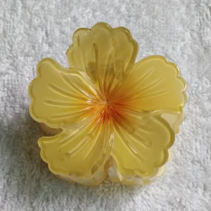 Big Hibiscus🌺