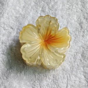 Small Hibiscus🌺