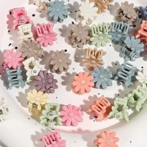 1 Rs Clip(B)
(10 Clips-10Rs)