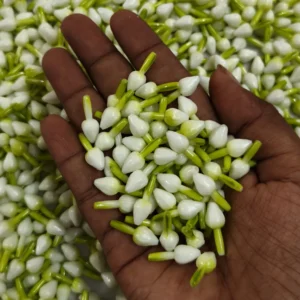 Jasmine Flower (20g)
(Approx 100 to 120 Piece)