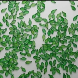 **Leaf(20g)