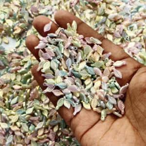 Rainbow Leaf(20g)