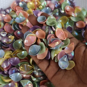 *Multicolour Glossy Petals(20g)