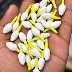 Jasmine Buds Quality 
(20 Piece)